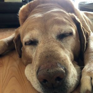 Meet your Posher, Erika